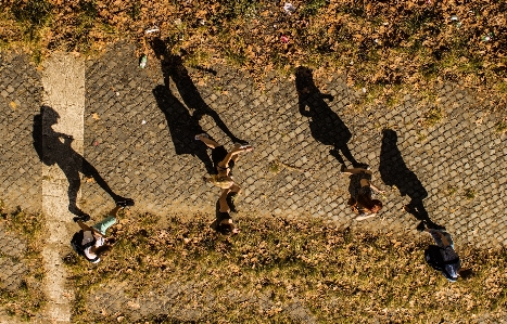 Tree walking group people Photo