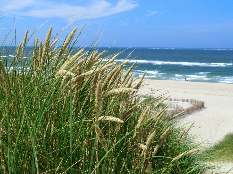 Strand landschaft meer küste