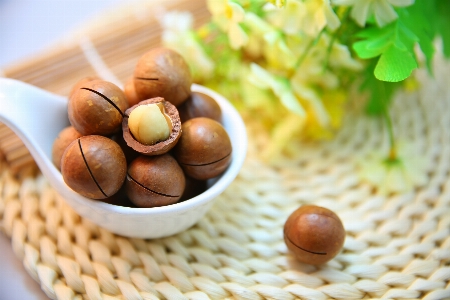 Bowl food produce natural Photo