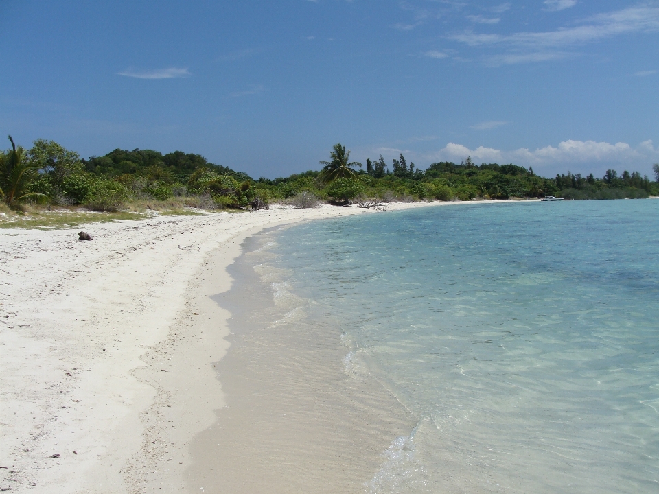 Pantai laut pesisir air