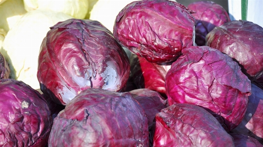 Petal food produce vegetable Photo