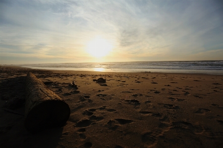 Beach sea coast water Photo