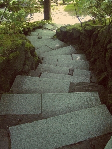 Path rock wall steps Photo