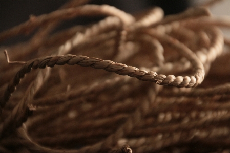 Branch rope blur wood Photo