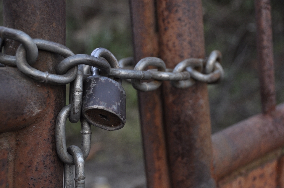 Fence chain old bicycle