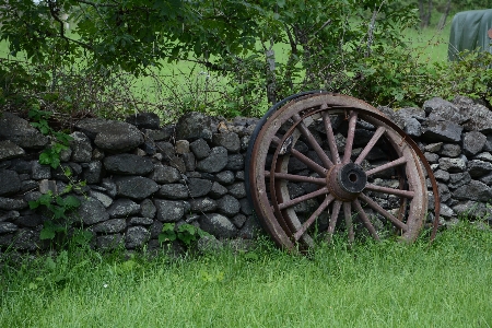 Grass field farm lawn Photo