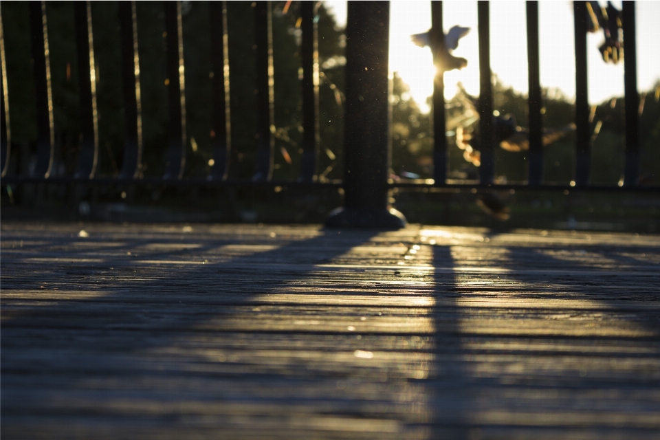 Eau lumière pont bois