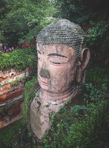 人々 記念碑 銅像 密林 写真