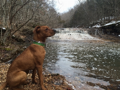 Landscape nature waterfall walking Photo