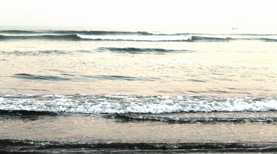 Plage paysage mer côte