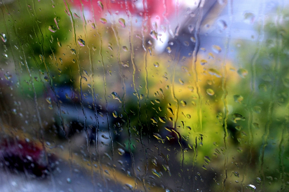 Acqua natura erba gocciolare