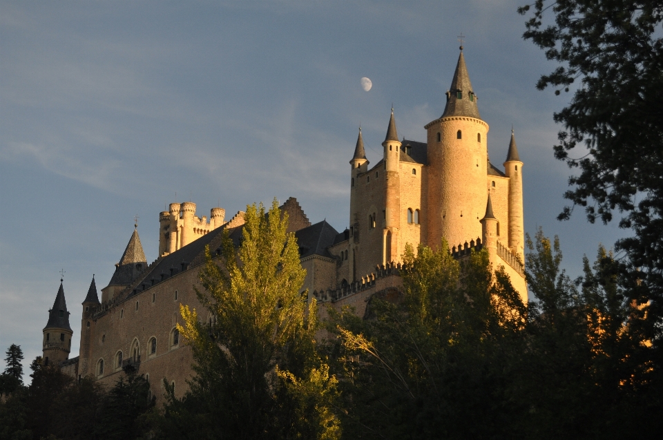 Edificio chateau
 torre castello