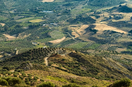 Landscape nature mountain road Photo