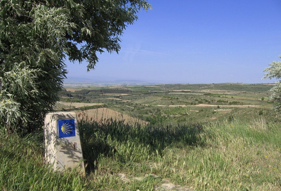 Paysage arbre herbe piste