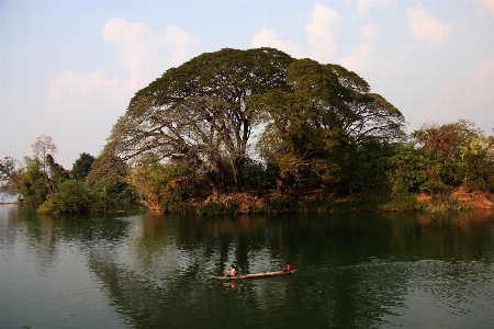 Landscape tree water nature Photo