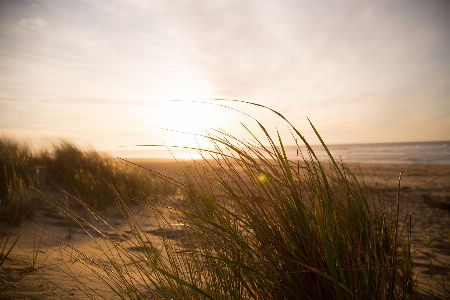 Beach landscape sea coast Photo