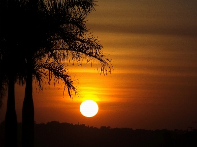 Horizon light sky sun Photo