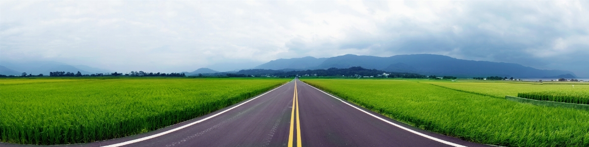 Landscape grass outdoor horizon Photo