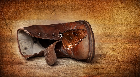 Shoe wood leather photography Photo