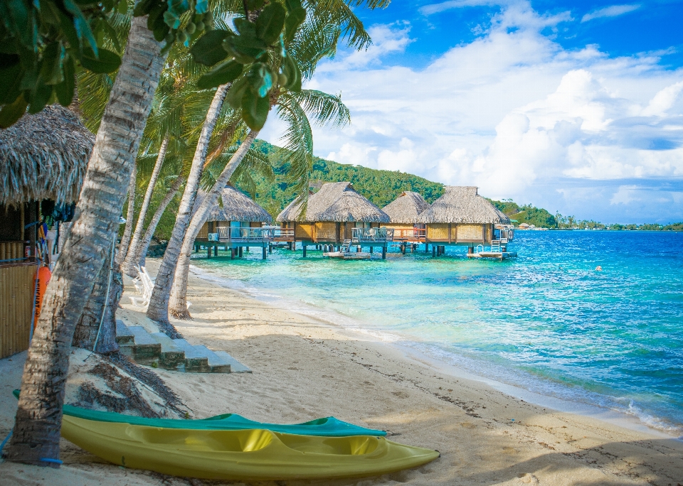 ビーチ 風景 海 水