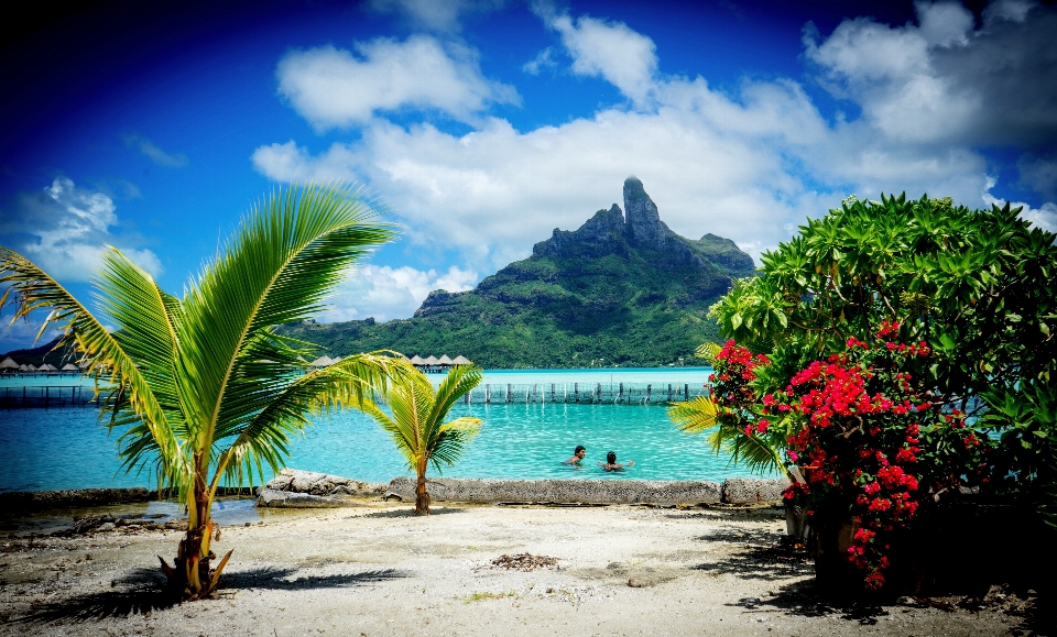 Plage paysage mer côte