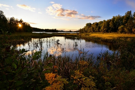 Landscape tree water nature Photo