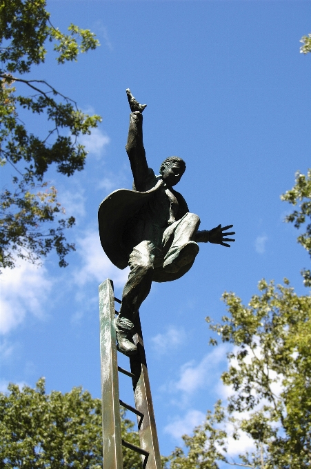 árbol aventura saltar monumento