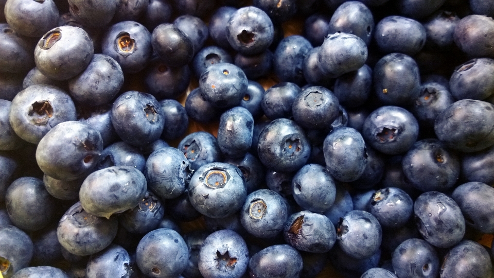 Plant fruit berry food