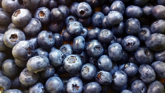 Plant fruit berry food Photo