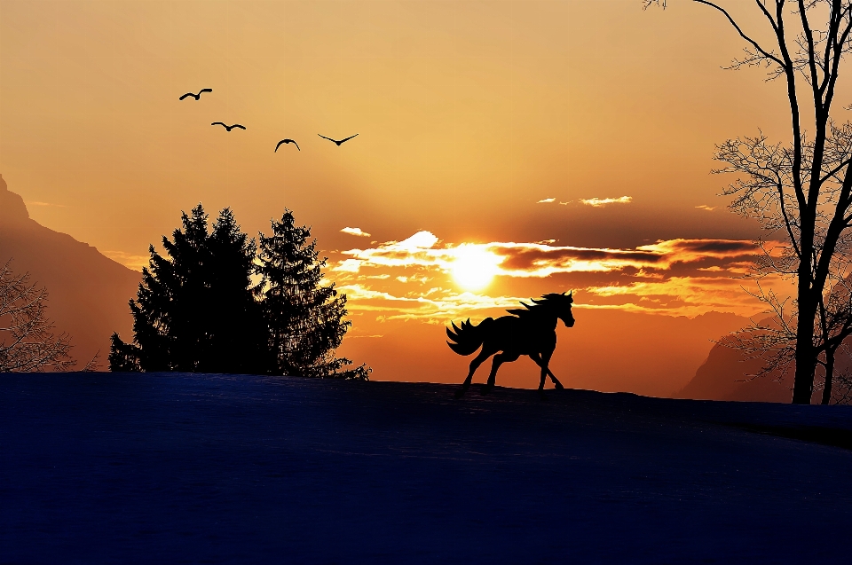 Landschaft natur silhouette winter