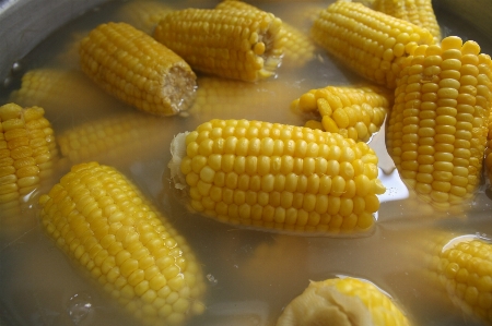 Dish food produce corn Photo