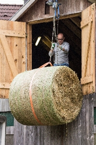 Work man wood chain Photo