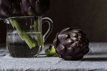 Plant flower glass food Photo