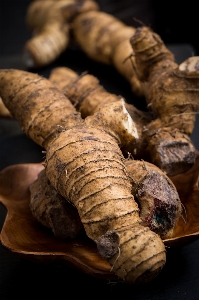 植物 木 野生 食べ物 写真