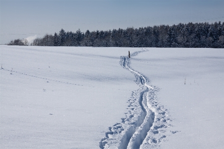 Foto Paesaggio foresta nevicare inverno