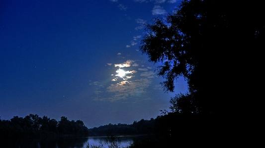 Tree horizon light cloud Photo