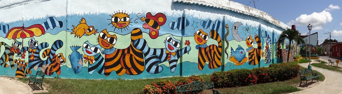 Wall panoramic graffiti cuba Photo