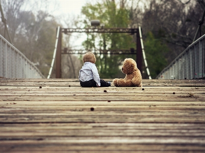 Photo Bois pont doux matin