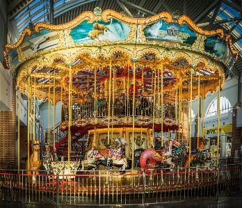 Recreation carnival amusement park horse Photo