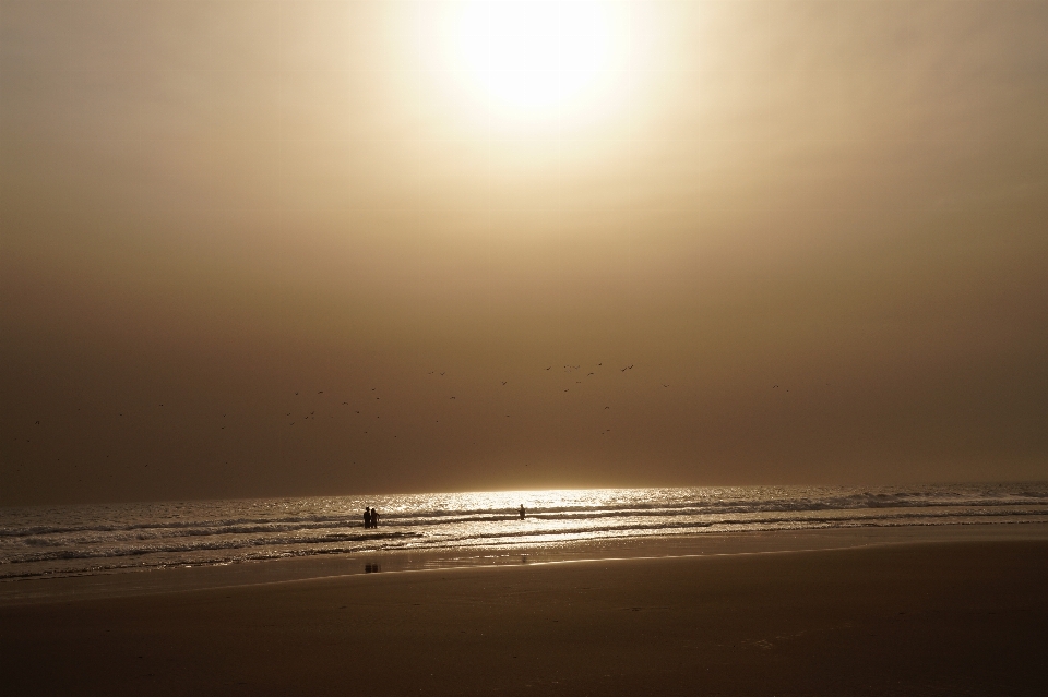 Plage mer côte sable