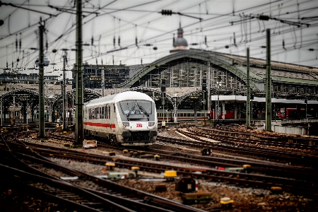 Track railway train steel Photo