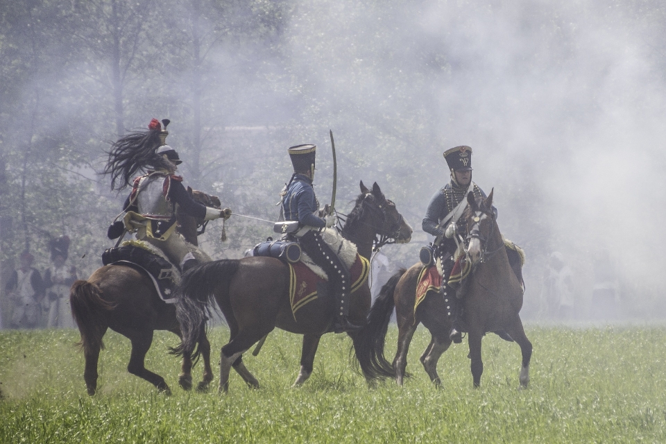 Militar bélgica caballos guerra