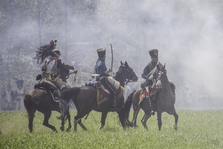 Foto Militer belgium kuda perang