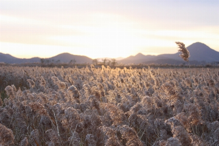 Landscape nature horizon wilderness Photo