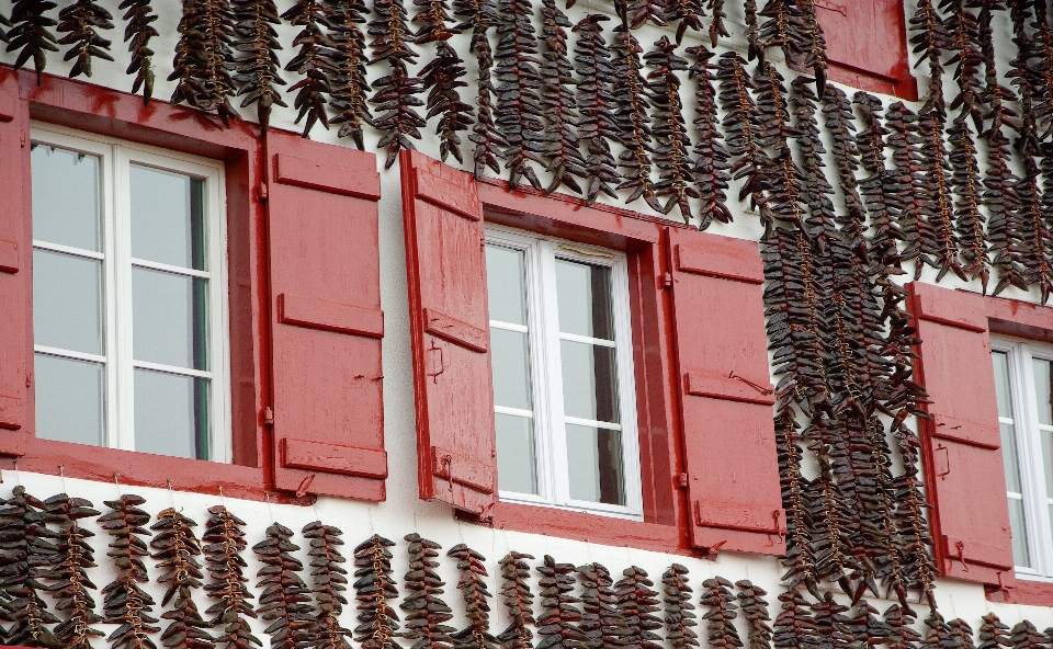 Architektura dom okno ściana