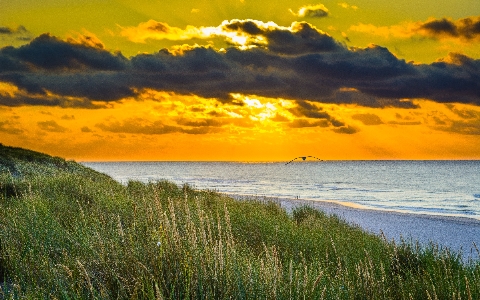 Beach landscape sea coast Photo