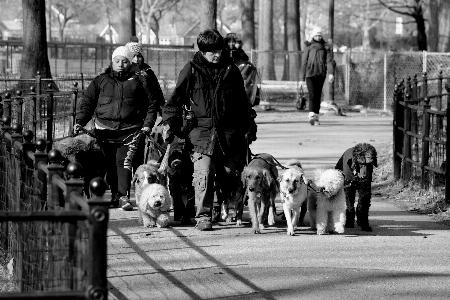 ウォーキング 黒と白
 人々 道 写真