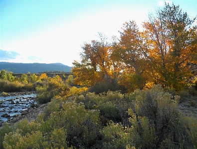 Landscape tree water nature Photo