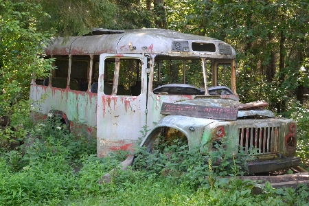 Foto Alam hutan tua kereta