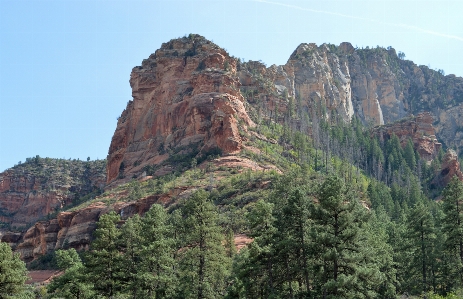 Landscape tree nature rock Photo